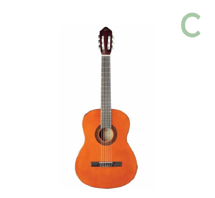 Guitare acoustique Jackson Surfcaster